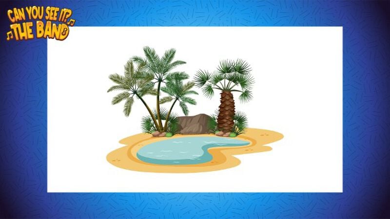 Can You See It - The Band